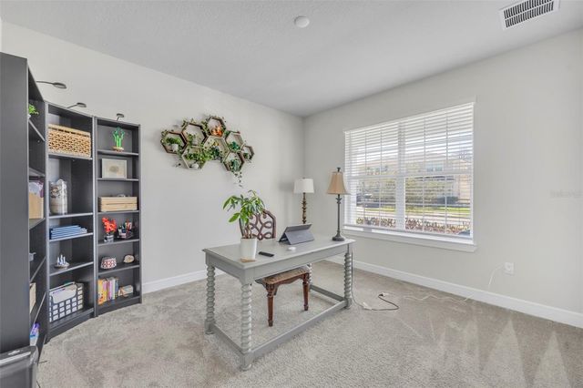 17434 SAW PALMETTO AVENUE, Clermont, FL 34714