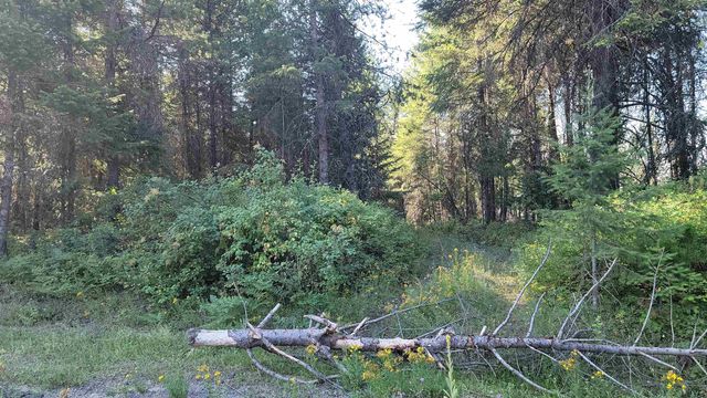612 Overlook Dr, Newport, WA 99156