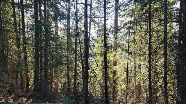612 Overlook Dr, Newport, WA 99156