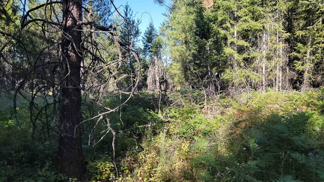 612 Overlook Dr, Newport, WA 99156