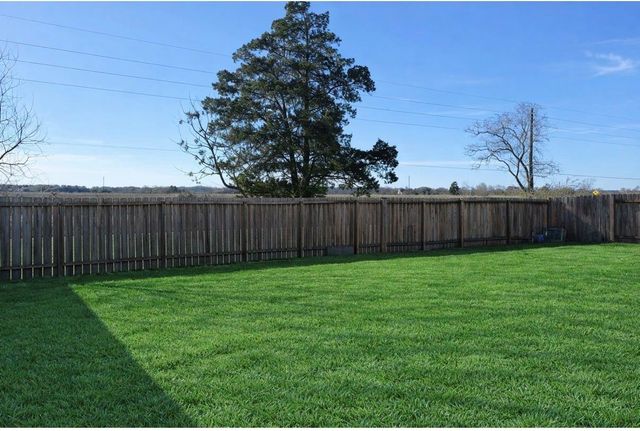 20615 Silver Tea Avenue, Hockley, TX 77447