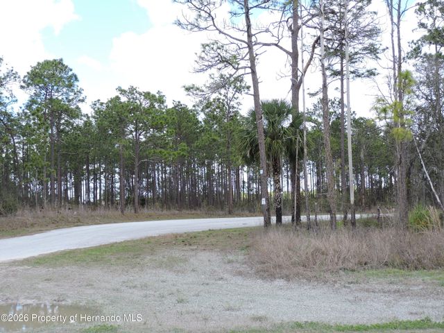 28448 Wildlife Lane, Brooksville, FL 34602