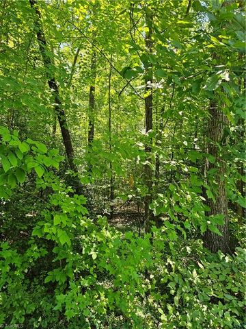 Lot 408 Pine Road, Lexington, NC 27292