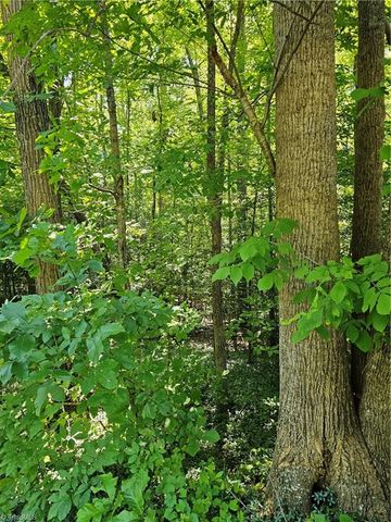 Lot 408 Pine Road, Lexington, NC 27292