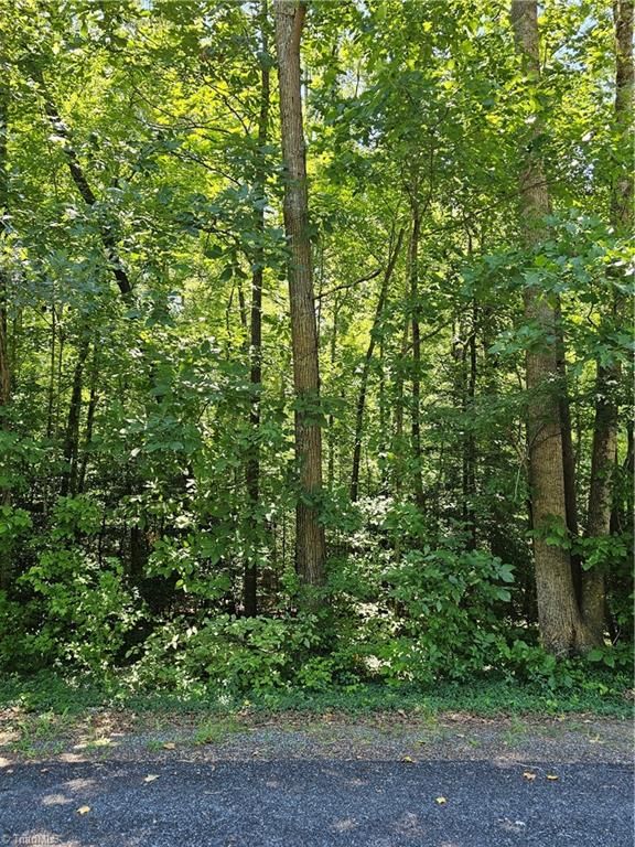 Lot 408 Pine Road, Lexington, NC 27292
