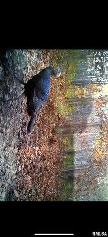 14138 Boyscout Trail, Petersburg, IL 62675