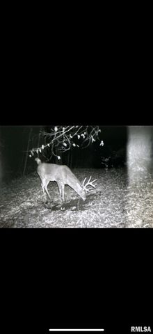 14138 Boyscout Trail, Petersburg, IL 62675