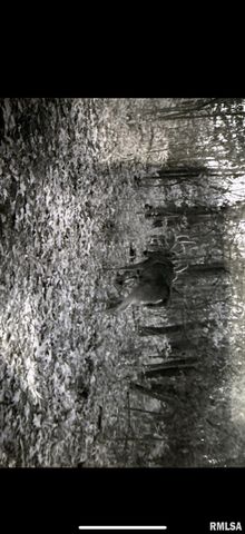 14138 Boyscout Trail, Petersburg, IL 62675