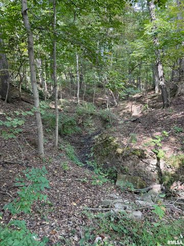 14138 Boyscout Trail, Petersburg, IL 62675