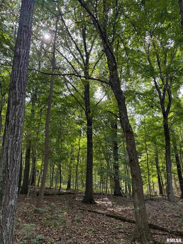 14138 Boyscout Trail, Petersburg, IL 62675