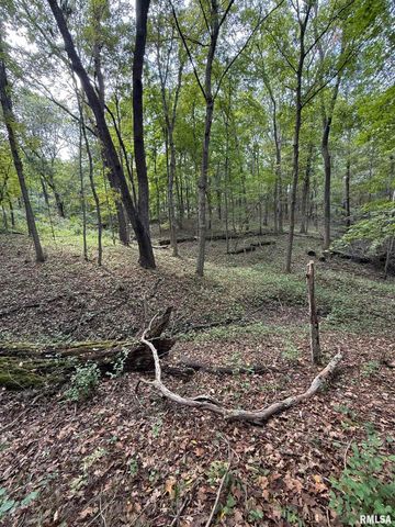 14138 Boyscout Trail, Petersburg, IL 62675