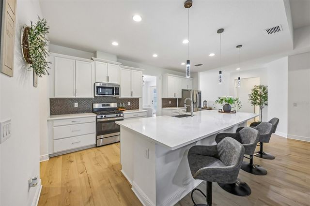 6100 SIERRA CROWN STREET, Mount Dora, FL 32757