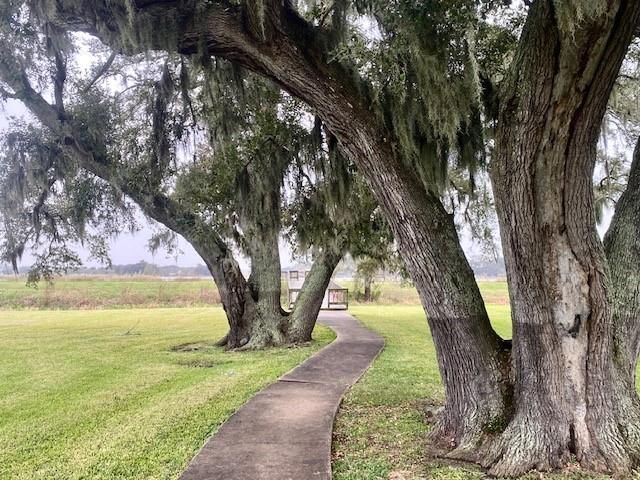 218 Cattle Drive Trail, Angleton, TX 77515