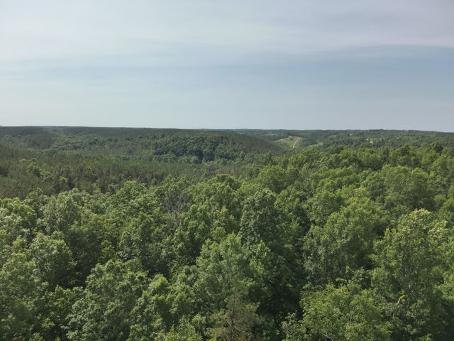 7170 Rockhouse Rd, Linden, TN 37096
