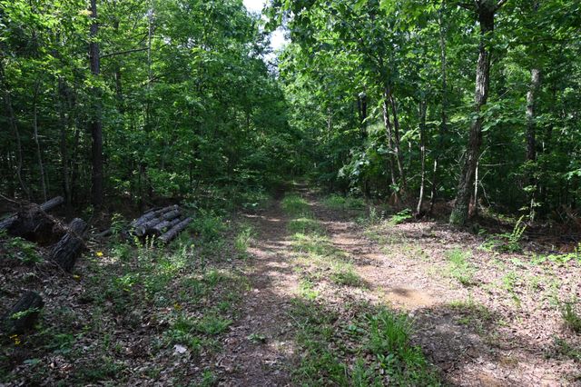 7170 Rockhouse Rd, Linden, TN 37096