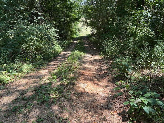 975 S Magnolia South Street, Whitwell, TN 37397