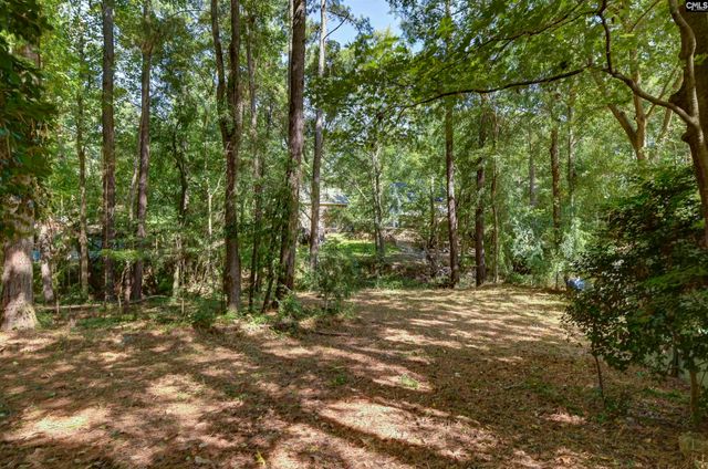204 Cannon Dale Road, Columbia, SC 29212