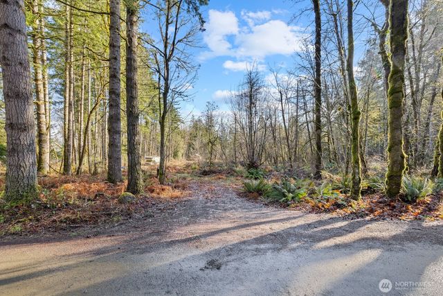 60 SE Mable Taylor Lane, Shelton, WA 98584