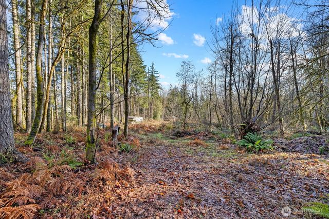 60 SE Mable Taylor Lane, Shelton, WA 98584