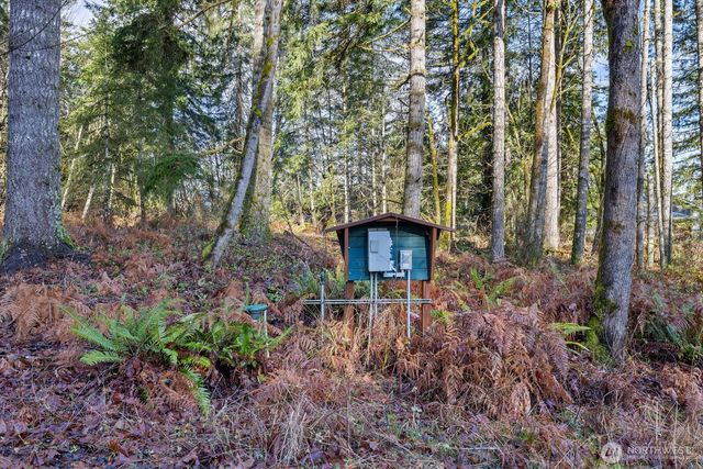 60 SE Mable Taylor Lane, Shelton, WA 98584