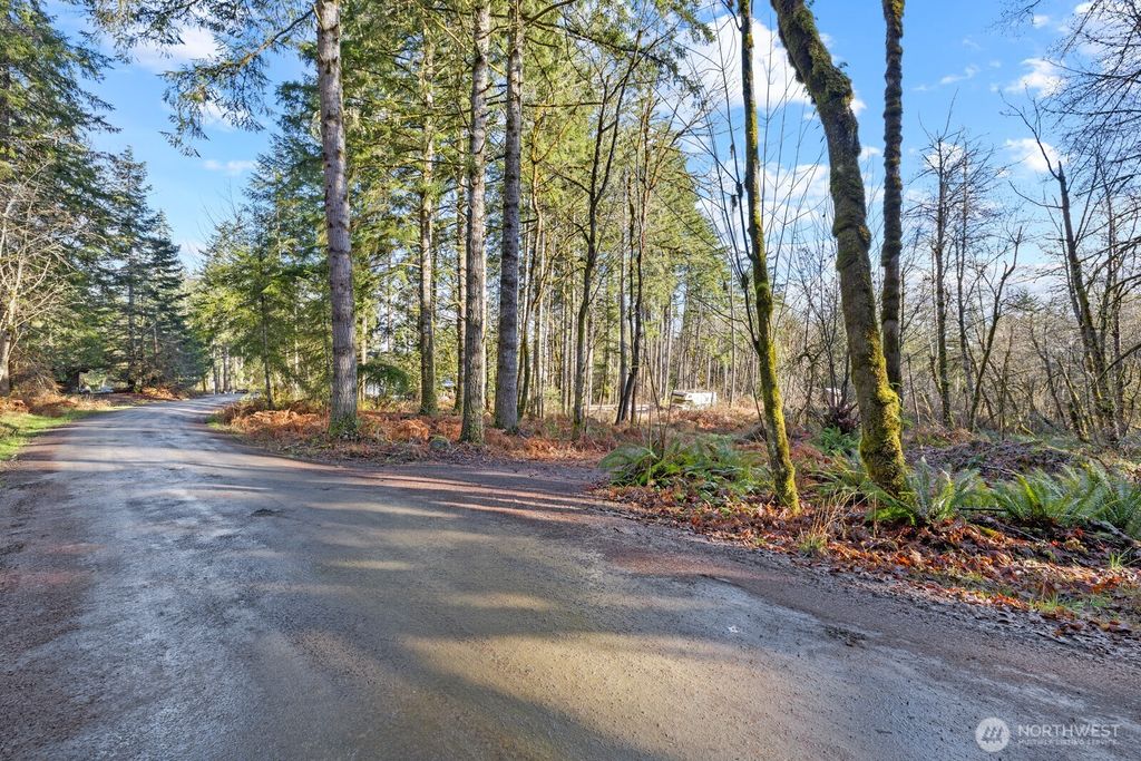 60 SE Mable Taylor Lane, Shelton, WA 98584