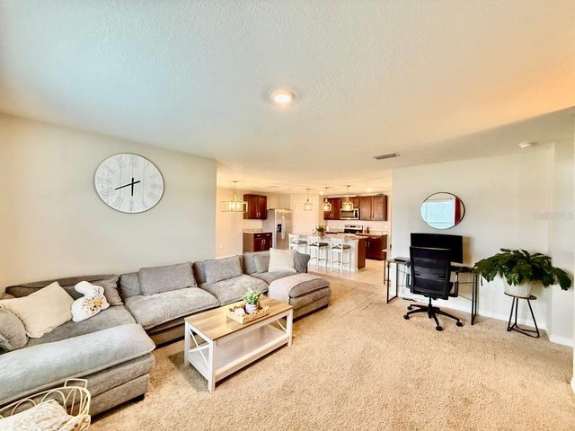 1026 GOLDEN SHINER AVENUE, Ruskin, FL 33570