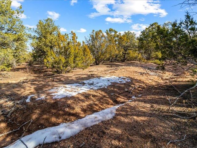 308 Pawprint Trail, Santa Fe, NM 87506