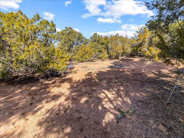 308 Pawprint Trail, Santa Fe, NM 87506