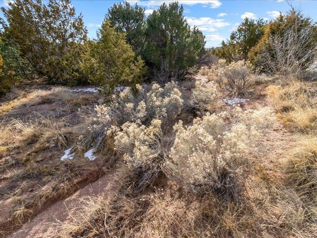 308 Pawprint Trail, Santa Fe, NM 87506