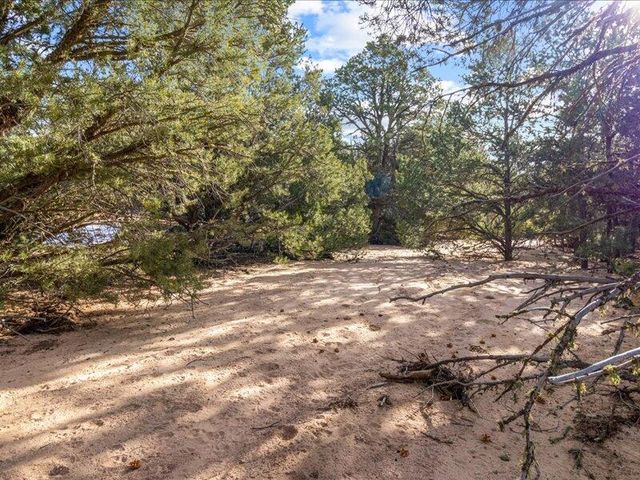 308 Pawprint Trail, Santa Fe, NM 87506