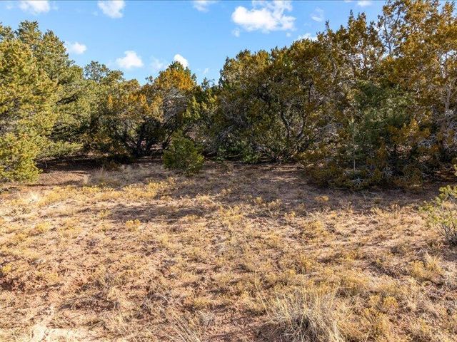 308 Pawprint Trail, Santa Fe, NM 87506