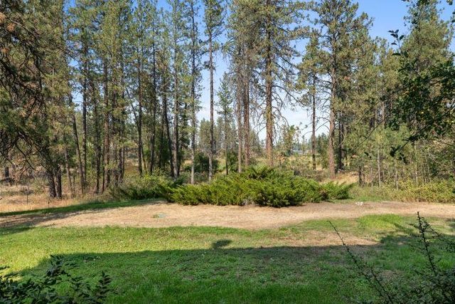 21110 W Blue Heron Rd, Cheney, WA 99004