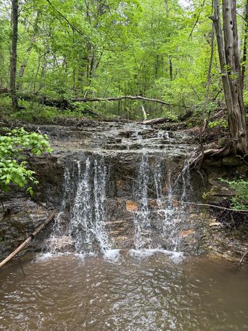 288 Kastl Road, Forsyth, MO 65653