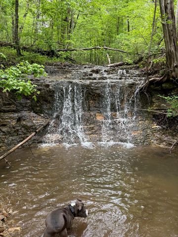 288 Kastl Road, Forsyth, MO 65653