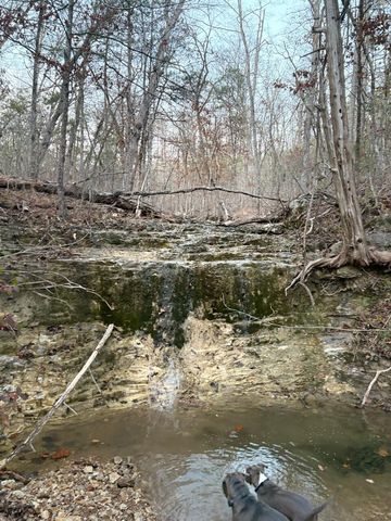 288 Kastl Road, Forsyth, MO 65653