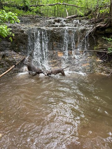 288 Kastl Road, Forsyth, MO 65653