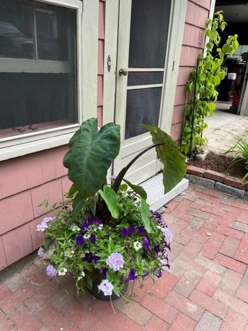 23 Howe Ave, Shrewsbury, MA 01545