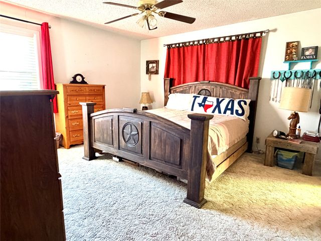 1399 State Highway 16 N, Priddy, TX 76442