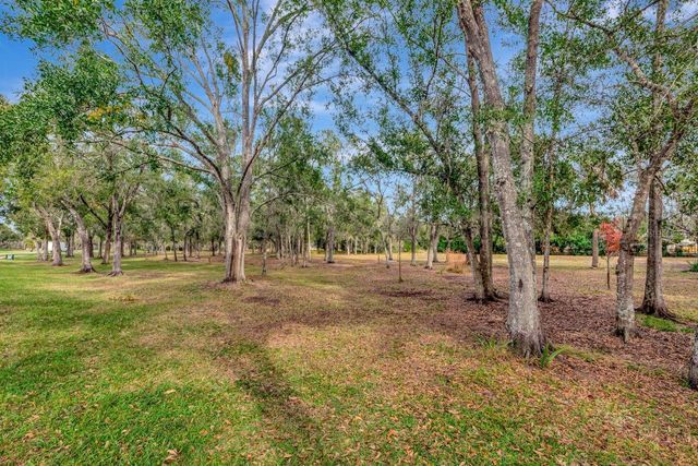 19519 MORDEN BLUSH DRIVE, Lutz, FL 33558