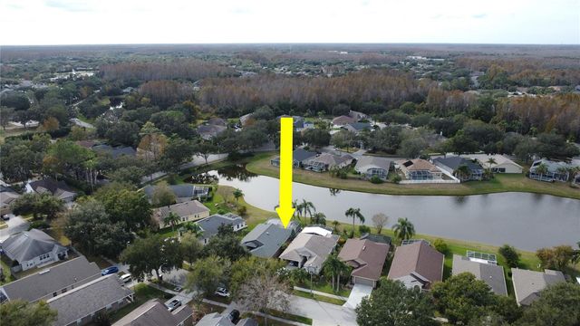 19519 MORDEN BLUSH DRIVE, Lutz, FL 33558