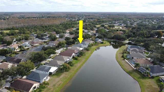 19519 MORDEN BLUSH DRIVE, Lutz, FL 33558