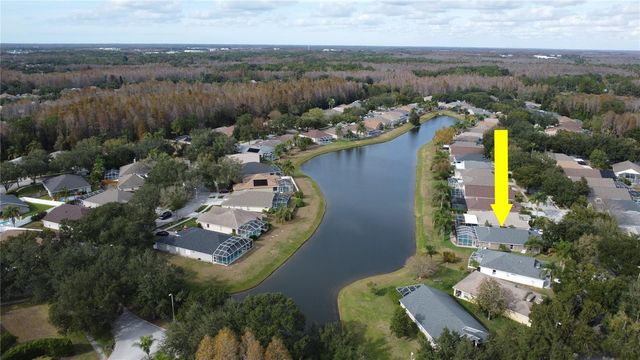 19519 MORDEN BLUSH DRIVE, Lutz, FL 33558