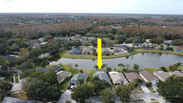 19519 MORDEN BLUSH DRIVE, Lutz, FL 33558