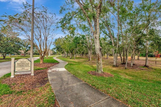 19519 MORDEN BLUSH DRIVE, Lutz, FL 33558