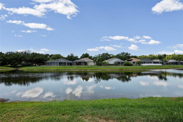 19519 MORDEN BLUSH DRIVE, Lutz, FL 33558