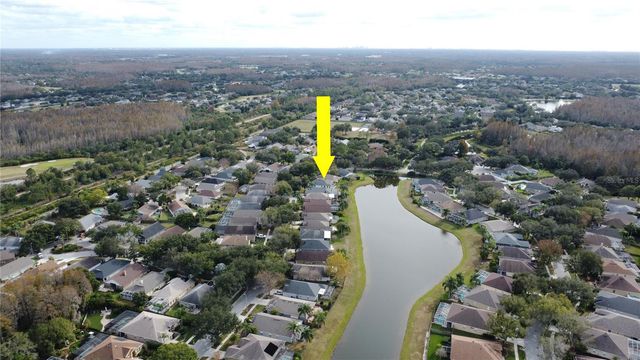 19519 MORDEN BLUSH DRIVE, Lutz, FL 33558