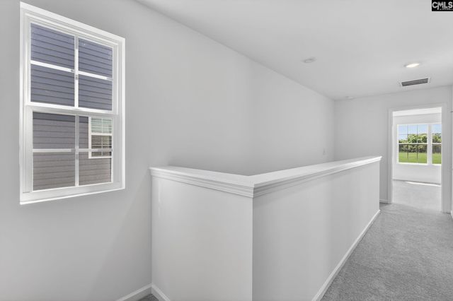 794 Ben Gunn Run, Gilbert, SC 29054