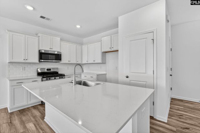 794 Ben Gunn Run, Gilbert, SC 29054