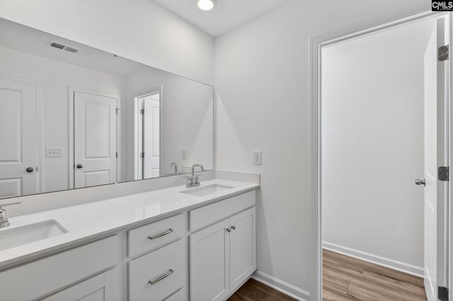 794 Ben Gunn Run, Gilbert, SC 29054