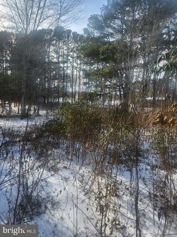 9546 RAPIDAN DR, Fredericksburg, VA 22407